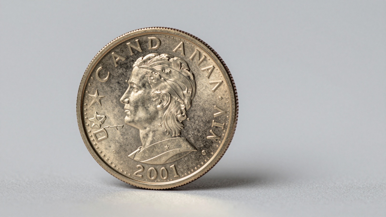 18 Canadian Royal Mint Commemoratives Worth Money: Terry Fox to Black Toonie