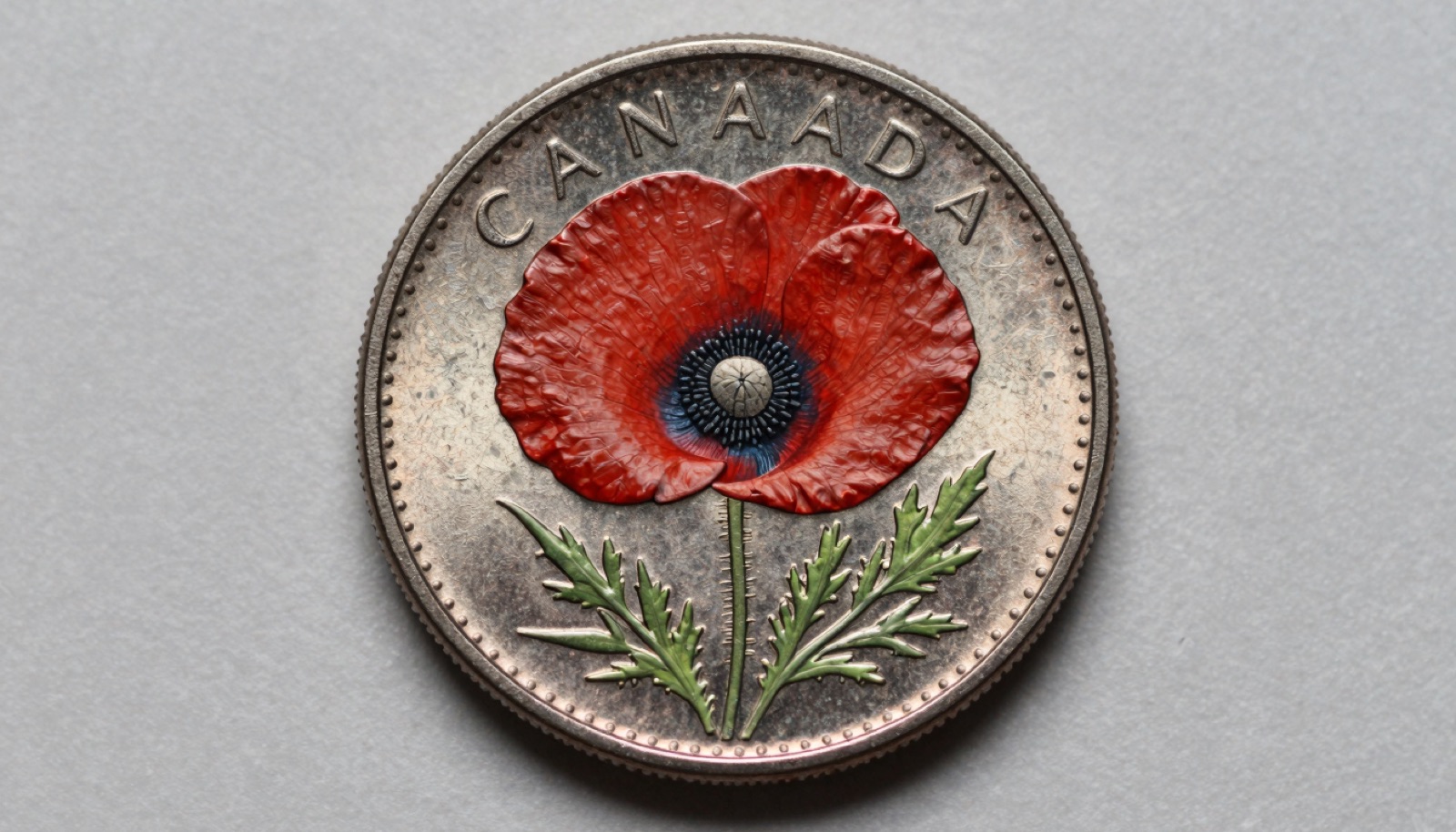 Macro photograph of a Canadian colored circulation coin showing a vivid red poppy on a quarter reverse