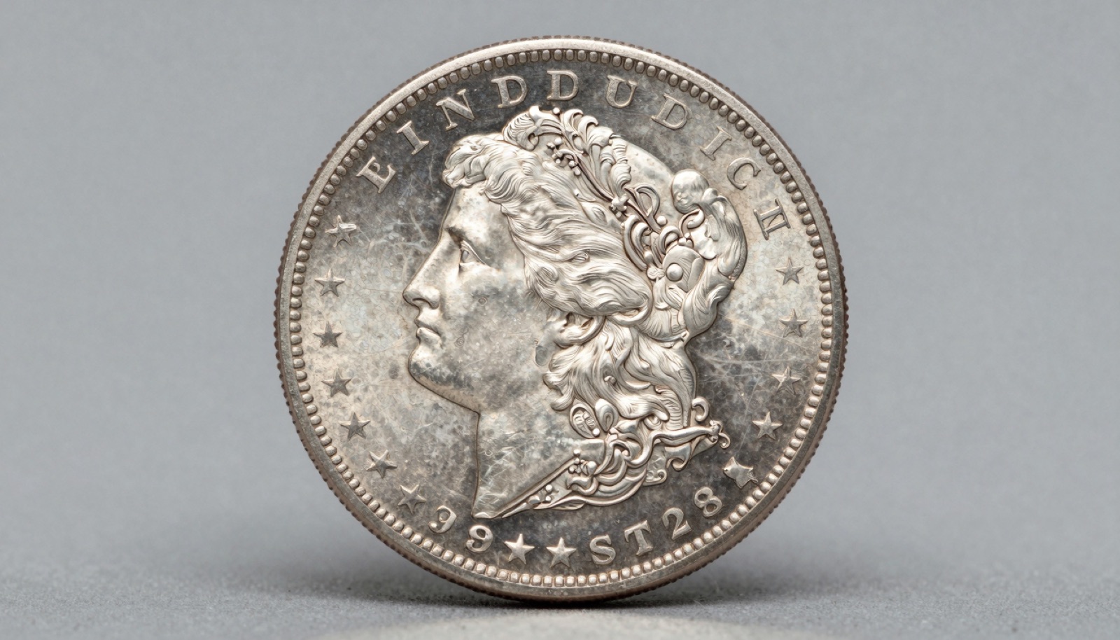 American Numismatic Association member Morgan silver dollar displayed on a neutral studio surface for identification